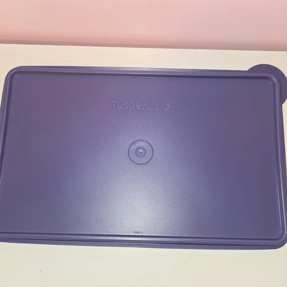 Tupperware Large Carryall - Picture 4 of 6